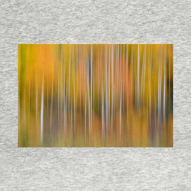 Abstract Aspens by StacyWhite